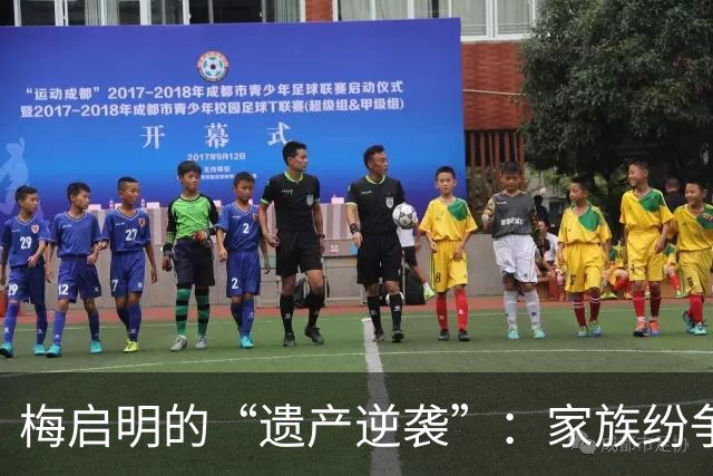 梅启明的“遗产逆袭”：家族纷争的新篇章